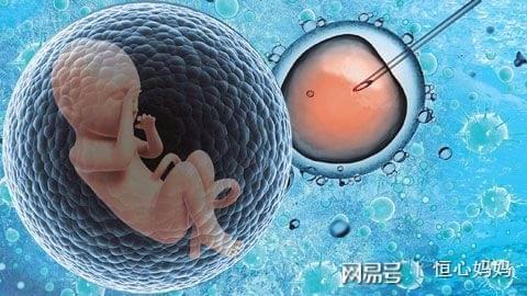 关于三代试管供卵代怀